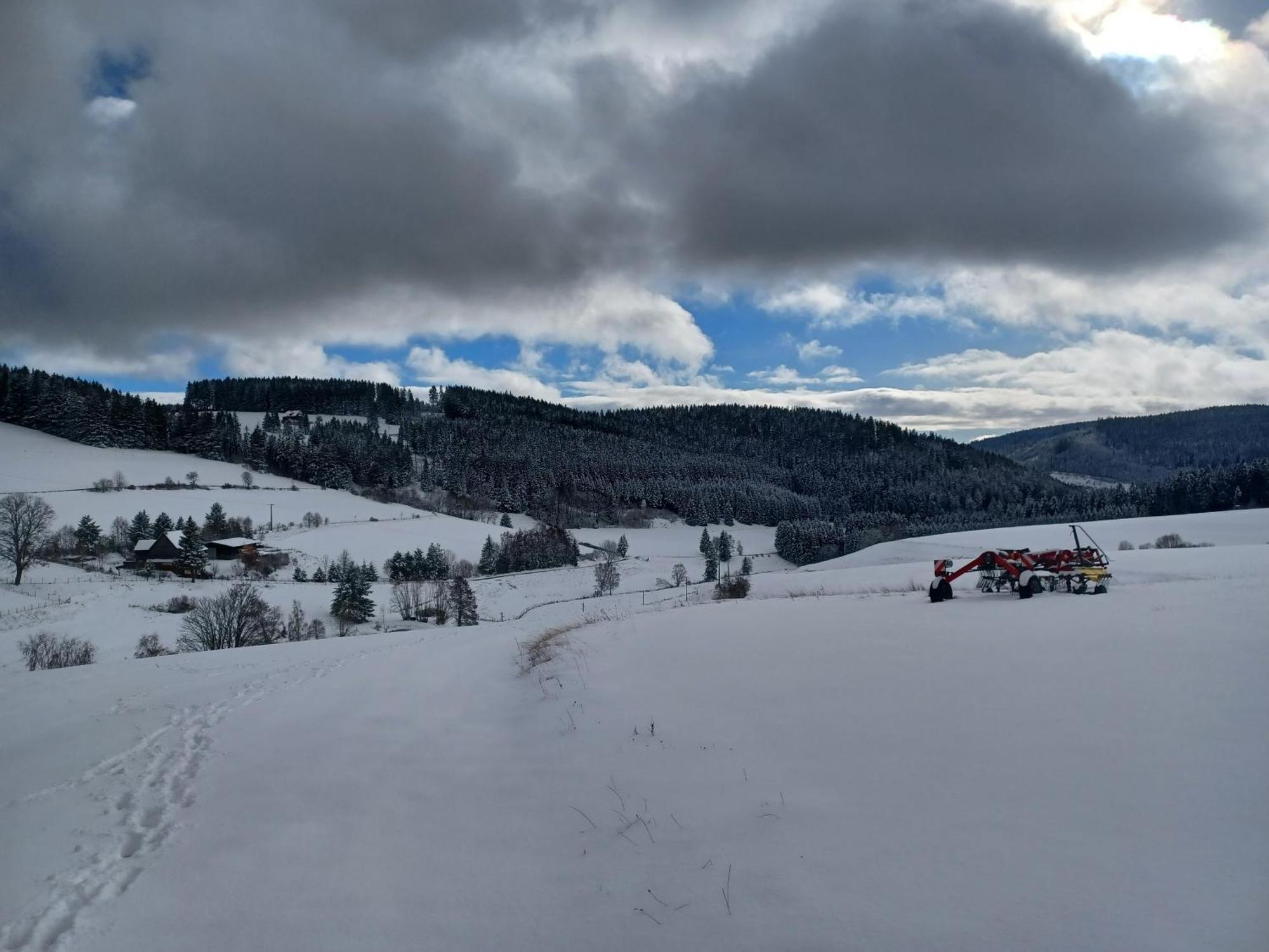 Schwarzwaldstube Apartment Titisee-Neustadt Ngoại thất bức ảnh